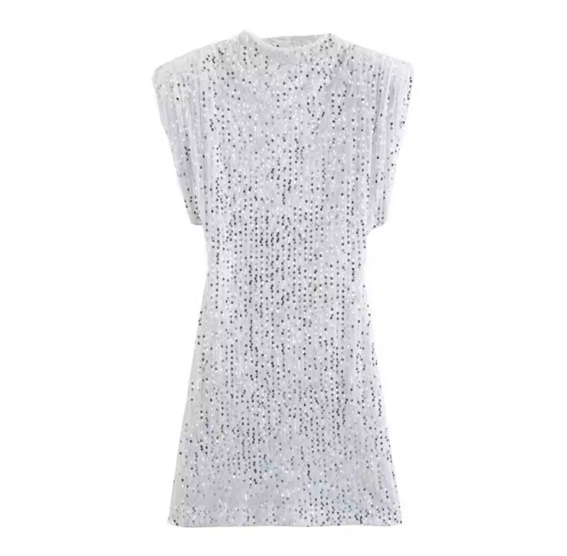 Round neck sequin dress